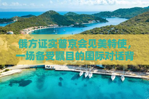 俄方证实普京会见美特使，一场备受瞩目的国际对话背后的深意