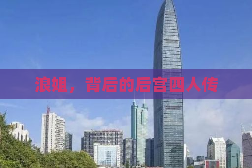 浪姐，背后的后宫四人传