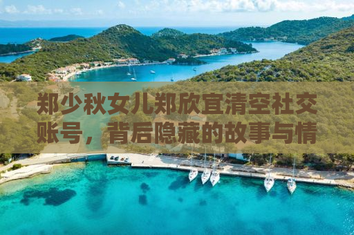 郑少秋女儿郑欣宜清空社交账号，背后隐藏的故事与情感挣扎