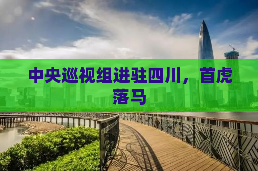 中央巡视组进驻四川，首虎落马