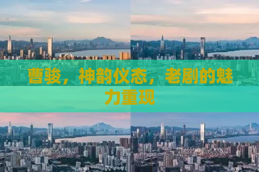 曹骏，神韵仪态，老剧的魅力重现