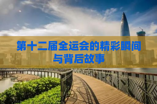 第十二届全运会的精彩瞬间与背后故事
