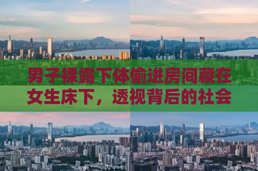 男子裸露下体偷进房间藏在女生床下，透视背后的社会问题与应对之道