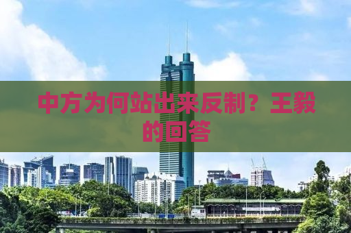 中方为何站出来反制？王毅的回答