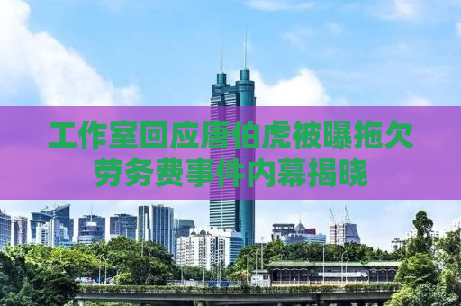 工作室回应唐伯虎被曝拖欠劳务费事件内幕揭晓