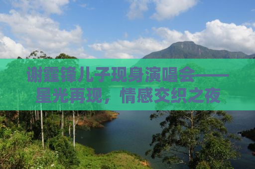 谢霆锋儿子现身演唱会——星光再现，情感交织之夜