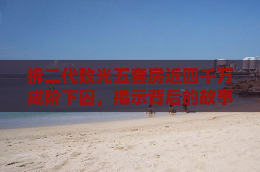 拆二代败光五套房近四千万成阶下囚，揭示背后的故事与教训