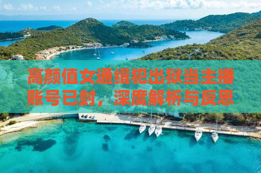 高颜值女通缉犯出狱当主播账号已封，深度解析与反思