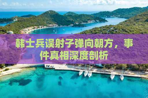 韩士兵误射子弹向朝方，事件真相深度剖析