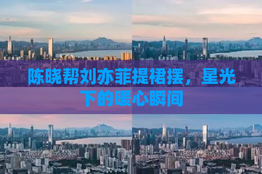 陈晓帮刘亦菲提裙摆，星光下的暖心瞬间