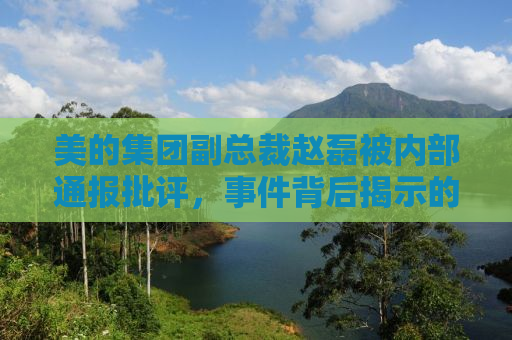 美的集团副总裁赵磊被内部通报批评，事件背后揭示的企业治理与领导力挑战