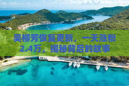 吴柳芳恢复更新，一天涨粉2.4万，揭秘背后的故事