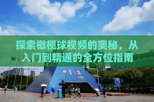 探索橄榄球视频的奥秘，从入门到精通的全方位指南