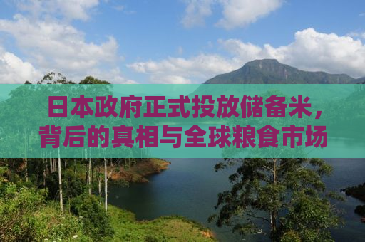 日本政府正式投放储备米，背后的真相与全球粮食市场的微妙变化