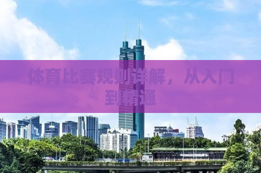 体育比赛规则详解，从入门到精通