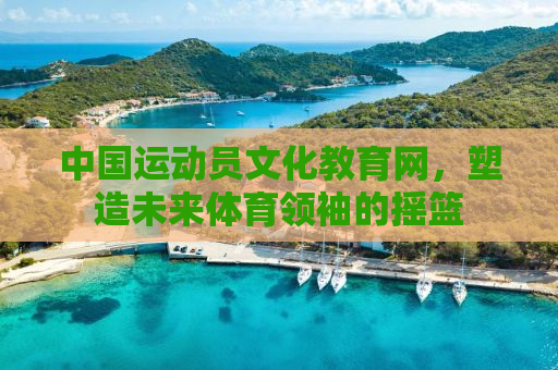 中国运动员文化教育网，塑造未来体育领袖的摇篮