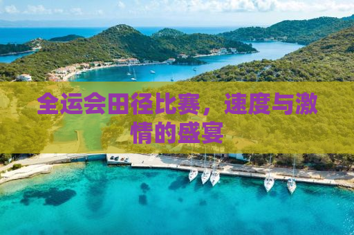 全运会田径比赛，速度与激情的盛宴