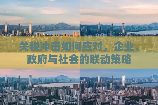 关税冲击如何应对，企业、政府与社会的联动策略