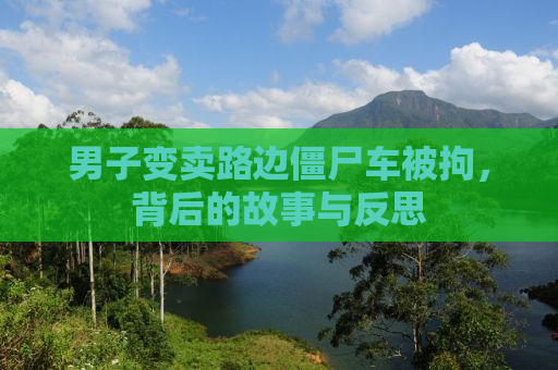 男子变卖路边僵尸车被拘，背后的故事与反思