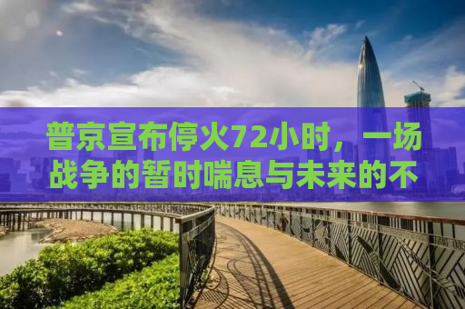 普京宣布停火72小时，一场战争的暂时喘息与未来的不确定性