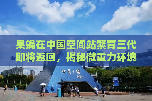 果蝇在中国空间站繁育三代即将返回，揭秘微重力环境下的生命奇迹