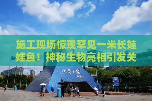 施工现场惊现罕见一米长娃娃鱼！神秘生物亮相引发关注热潮！