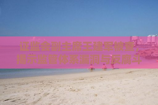 证监会副主席王建军被查，揭示监管体系漏洞与反腐斗争的深化