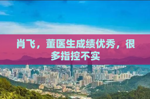 肖飞，董医生成绩优秀，很多指控不实