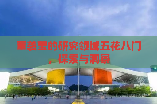 董袭莹的研究领域五花八门，探索与洞察