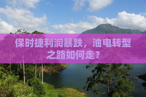 保时捷利润暴跌，油电转型之路如何走？