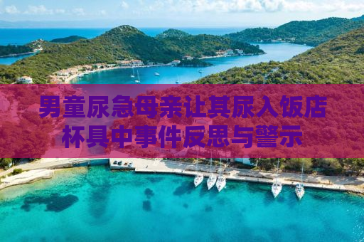 男童尿急母亲让其尿入饭店杯具中事件反思与警示