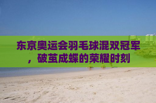 东京奥运会羽毛球混双冠军，破茧成蝶的荣耀时刻