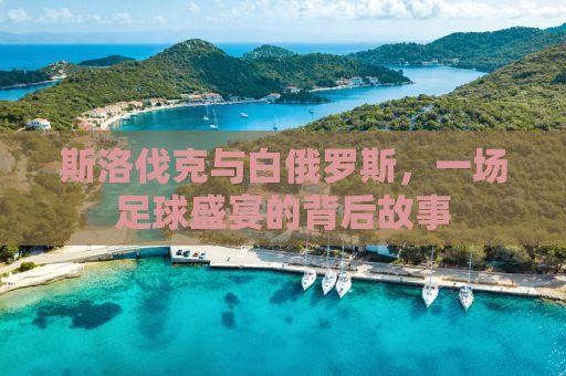 斯洛伐克与白俄罗斯，一场足球盛宴的背后故事