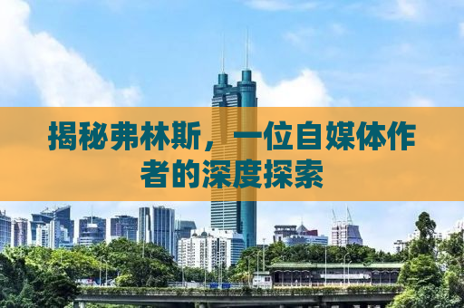 揭秘弗林斯，一位自媒体作者的深度探索