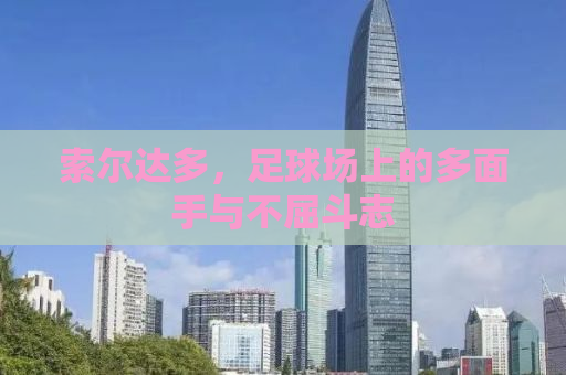 索尔达多，足球场上的多面手与不屈斗志