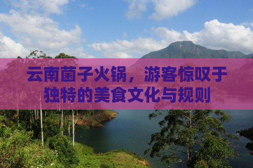 云南菌子火锅，游客惊叹于独特的美食文化与规则