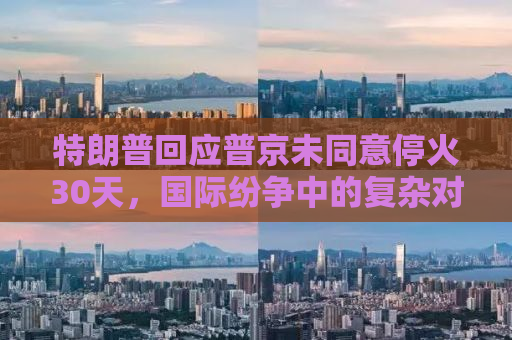 特朗普回应普京未同意停火30天，国际纷争中的复杂对话与微妙平衡