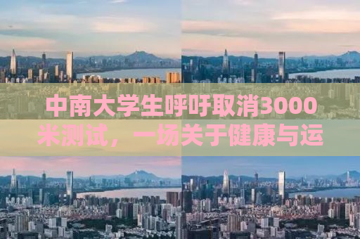 中南大学生呼吁取消3000米测试，一场关于健康与运动理念的深度探讨