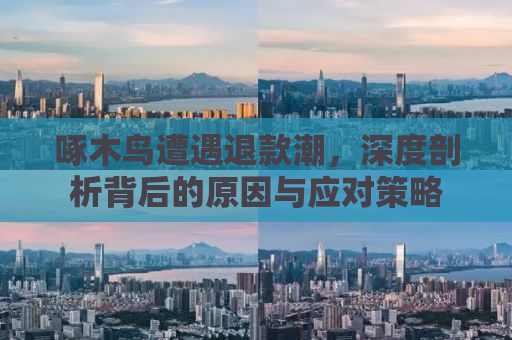 啄木鸟遭遇退款潮，深度剖析背后的原因与应对策略