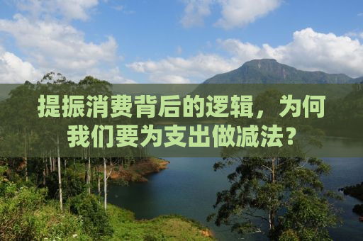 提振消费背后的逻辑，为何我们要为支出做减法？