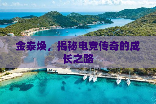 金泰焕，揭秘电竞传奇的成长之路