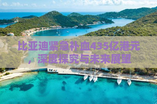 比亚迪紧急补血435亿港元，深度探究与未来展望