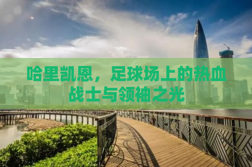 哈里凯恩，足球场上的热血战士与领袖之光