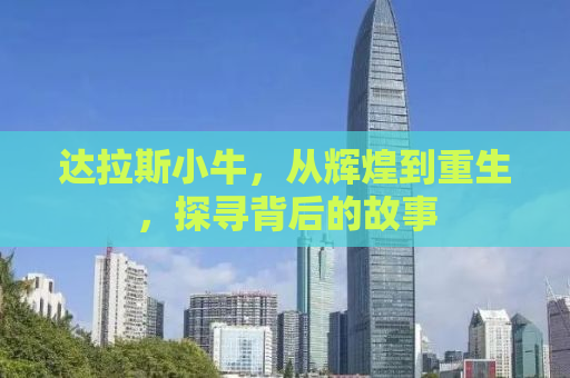 达拉斯小牛，从辉煌到重生，探寻背后的故事