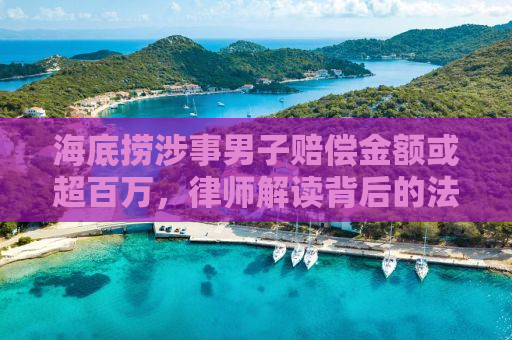 海底捞涉事男子赔偿金额或超百万，律师解读背后的法律责任