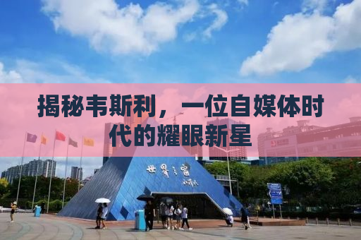 揭秘韦斯利，一位自媒体时代的耀眼新星