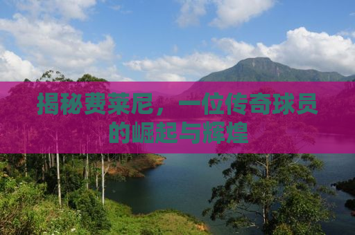 揭秘费莱尼，一位传奇球员的崛起与辉煌