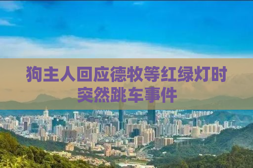 狗主人回应德牧等红绿灯时突然跳车事件