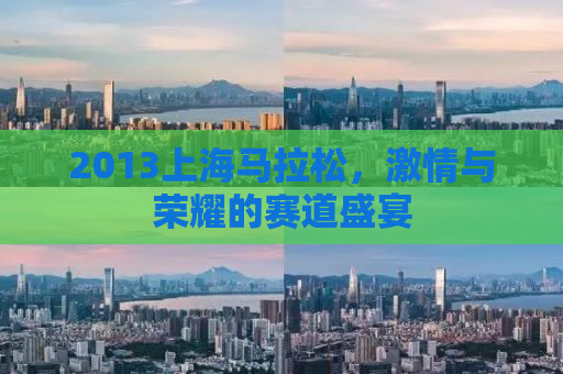 2013上海马拉松，激情与荣耀的赛道盛宴