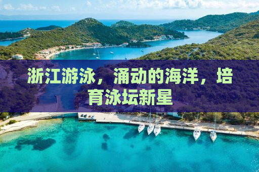 浙江游泳，涌动的海洋，培育泳坛新星